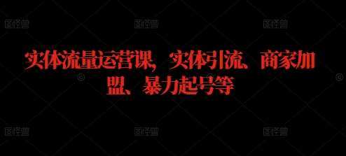 实体流量运营课，实体引流、商家加盟、暴力起号等-千寻创业网