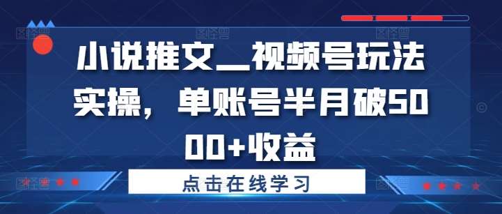 小说推文—视频号玩法实操，单账号半月破5000+收益-千寻创业网