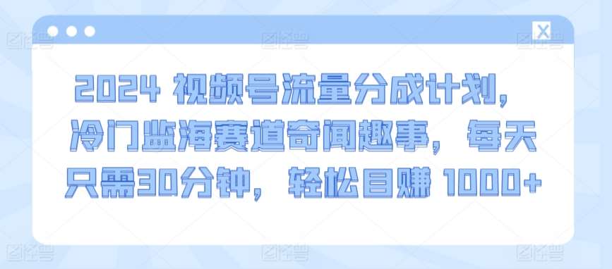 2024视频号流量分成计划，冷门监海赛道奇闻趣事，每天只需30分钟，轻松目赚 1000+【揭秘】-千寻创业网