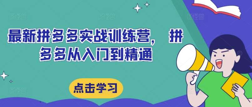 最新拼多多实战训练营， 拼多多从入门到精通-千寻创业网