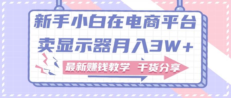 （11053期）新手小白如何做到在电商平台卖显示器月入3W+，最新赚钱教学干货分享-千寻创业网