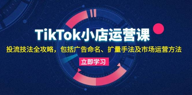 （13063期）TikTok小店运营课：投流技法全攻略，包括广告命名 扩量手法及市场运营方法-千寻创业网