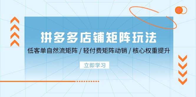 （12720期）拼多多店铺矩阵玩法：低客单自然流矩阵 / 轻付费矩阵 动销 / 核心权重提升-千寻创业网