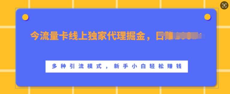 流量卡线上独家代理掘金，日入1k+ ，多种引流模式，新手小白轻松上手【揭秘】-千寻创业网