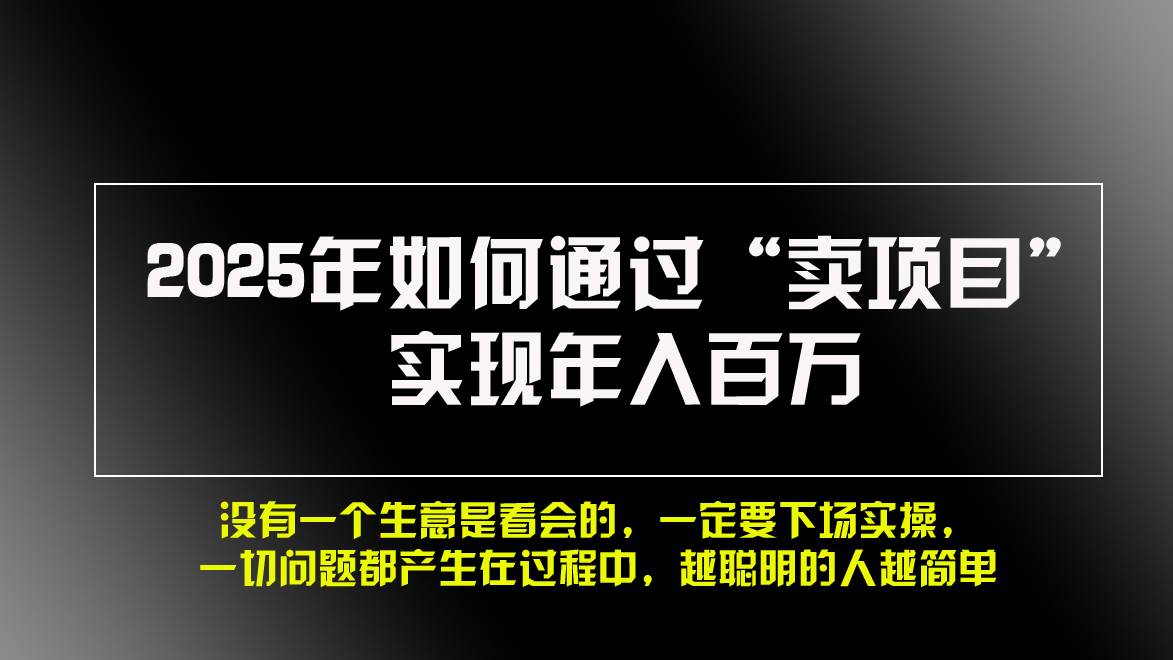 （13468期）2025年如何通过“卖项目”实现年入百万，做网赚必看！！-千寻创业网