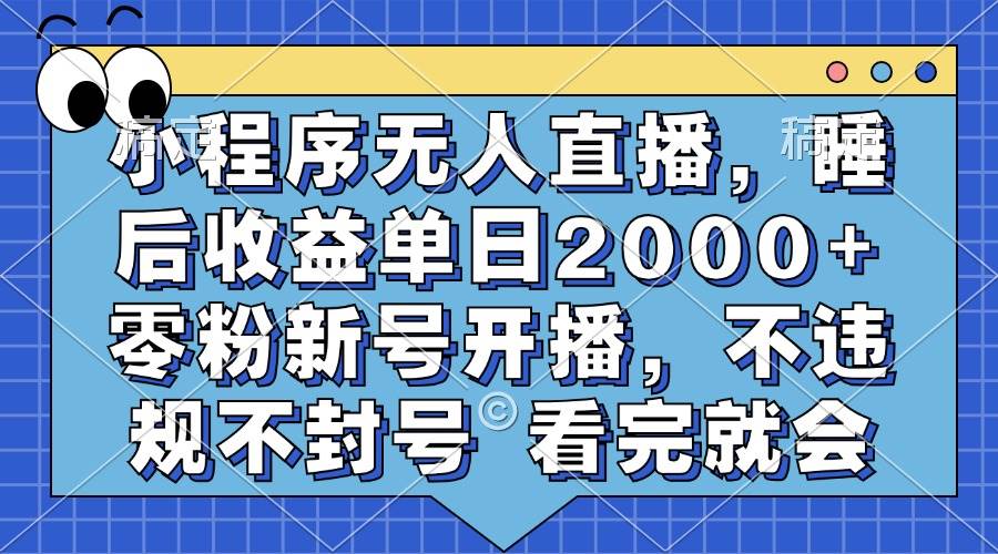 （13251期）小程序无人直播，睡后收益单日2000+ 零粉新号开播，不违规不封号 看完就会-千寻创业网