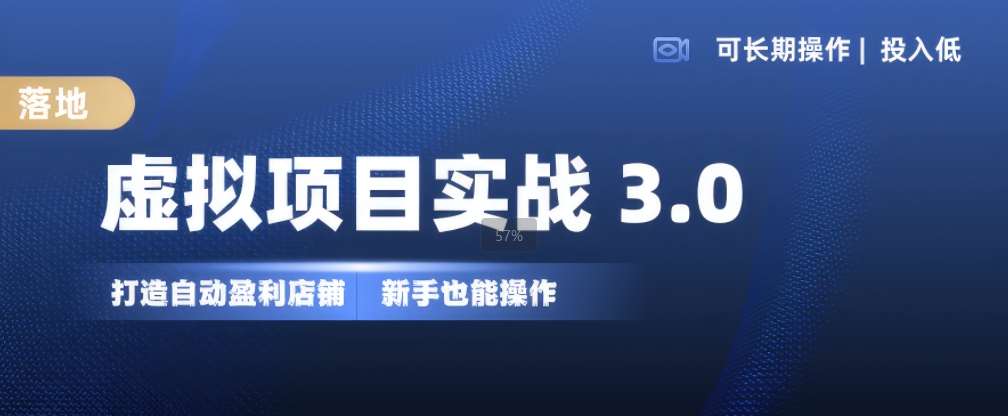 虚拟项目实战3.0，打造自动盈利店铺，可长期操作投入低，新手也能操作-千寻创业网