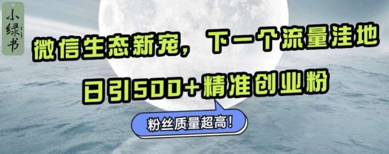 微信生态新宠小绿书：下一个流量洼地，日引500+精准创业粉，粉丝质量超高-千寻创业网