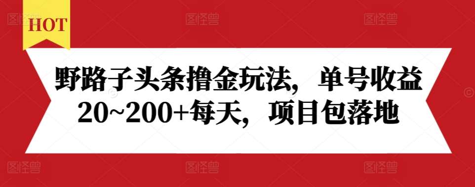 野路子头条撸金玩法，单号收益20~200+每天，项目包落地-千寻创业网