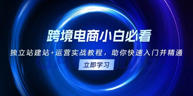 （13503期）跨境电商小白必看！独立站建站+运营实战教程，助你快速入门并精通-千寻创业网