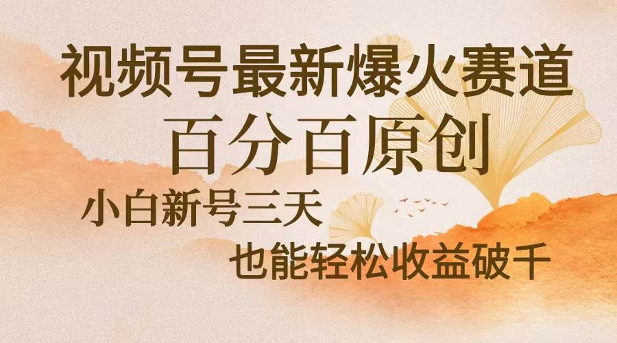 （13225期）视频号最新爆火赛道，中老年粉深信不疑，百分百原创，新号三天收益轻松…-千寻创业网