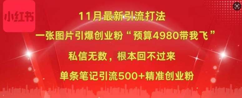 小红书11月最新图片打粉，一张图片引爆创业粉，“预算4980带我飞”，单条引流500+精准创业粉-千寻创业网