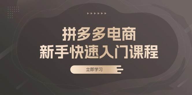 （13289期）拼多多电商新手快速入门课程：涵盖基础、实战与选款，助力小白轻松上手-千寻创业网