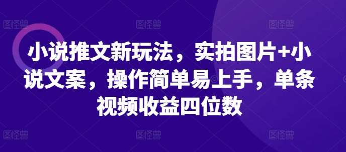 小说推文新玩法，实拍图片+小说文案，操作简单易上手，单条视频收益四位数-千寻创业网