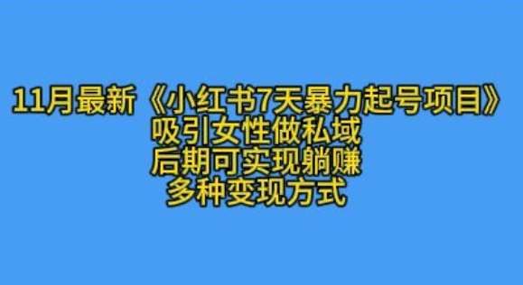 K总部落11月最新小红书7天暴力起号项目，吸引女性做私域【揭秘】-千寻创业网