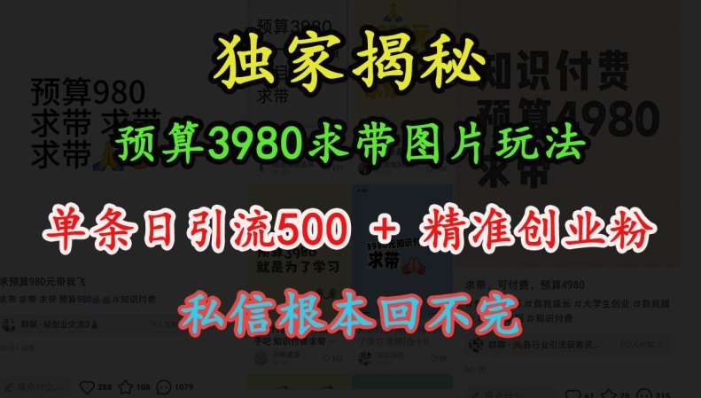 预算3980求带 图片玩法，单条日引流500+精准创业粉，私信根本回不完-千寻创业网