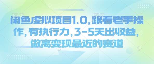 闲鱼虚拟项目1.0，跟着老手操作，有执行力，3-5天出收益，做离变现最近的赛道-千寻创业网