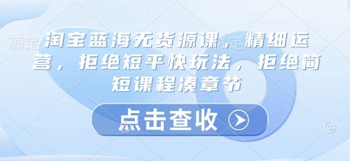 淘宝蓝海无货源课，精细运营，拒绝短平快玩法，拒绝简短课程凑章节-千寻创业网