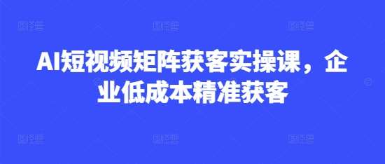 AI短视频矩阵获客实操课，企业低成本精准获客-千寻创业网