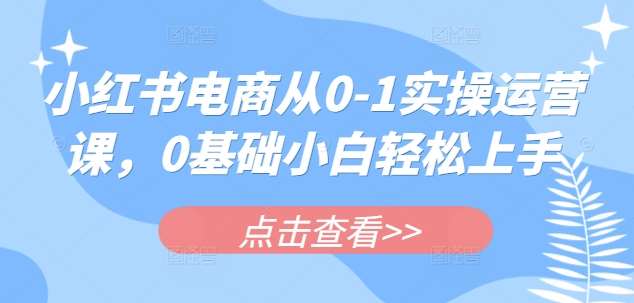 小红书电商从0-1实操运营课，0基础小白轻松上手-千寻创业网