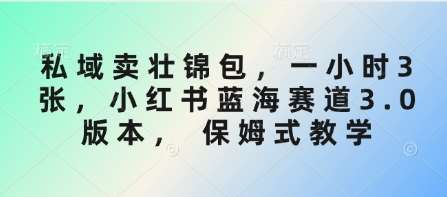 私域卖壮锦包，一小时3张，小红书蓝海赛道3.0版本， 保姆式教学-千寻创业网